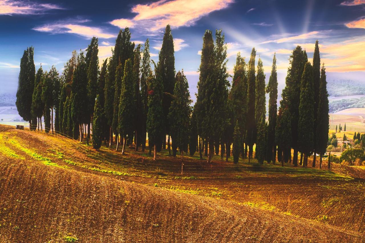 Podere Pietreta راديكوفاني المظهر الخارجي الصورة